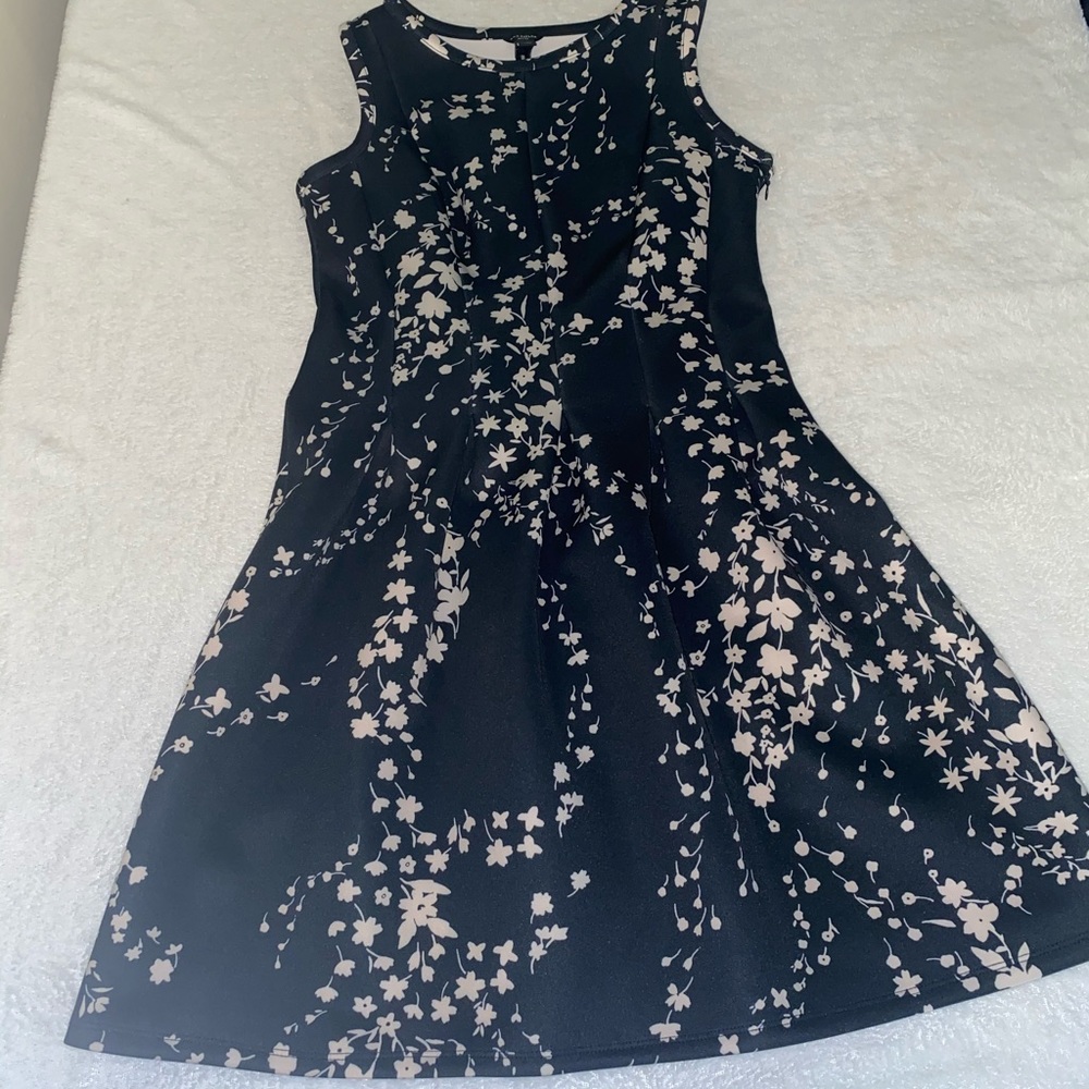 🎁 Ann Taylor dress 👗